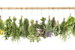 Majeranek, rumianek i inne zioła na przeziębienie