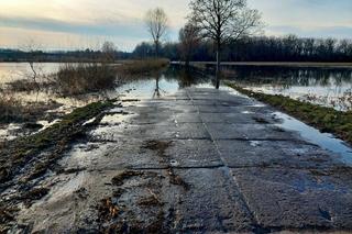 Widowiskowe powodziowe rozlewisko Wisły w Strzyżawie. Piękne, ale niebezpieczne. Woda podchodzi pod domy 