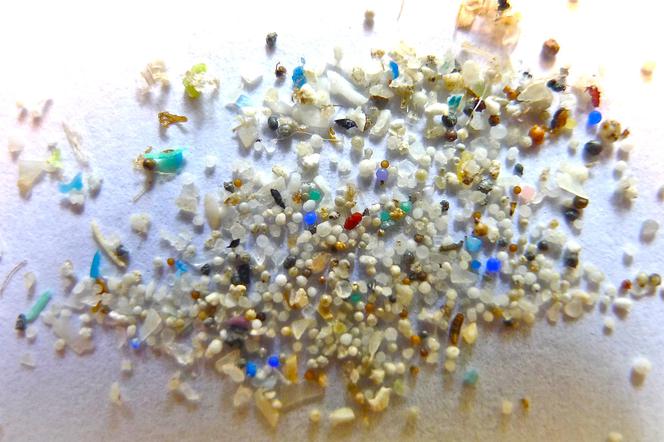 Naukowcy mają złe wieści - mikroplastiku w morzach jest więcej niż sądzono