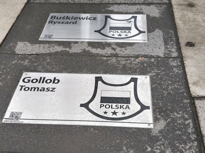 Tablice dla Buśkiewicza i Golloba