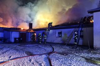 Pożar kurnika połączonego z budynkiem mieszkalnym pod Gorzowem