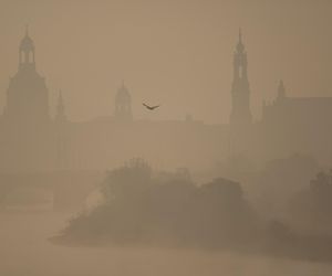 Dziwna mgła krąży po świecie? Teorie konspiracyjne w sieci