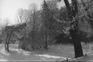 Kiedyś to były zimy! Tak wyglądał Kraków zasypany śniegiem przed wojną i w czasie okupacji