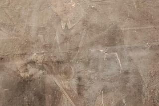 Freski z połowy XVIII wieku odkryte w kościele pw. Św. Stanisława Biskupa i Męczennika w Siedlcach