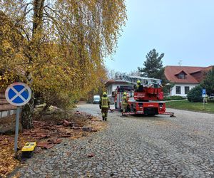 Duże straty po pożarze na Ranczo Smyczyna. „Mamy szereg umów z naszymi gośćmi i zamierzamy się z nich wywiązać”