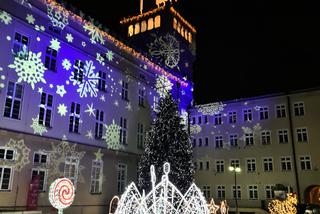 Opole. Świąteczny klimat na RYNKU! Zobacz, jak wygląda centrum miasta na Święta! [ZDJĘCIA]