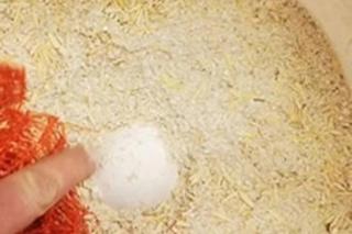 Operacja bociana Zuzi w Przemyślu