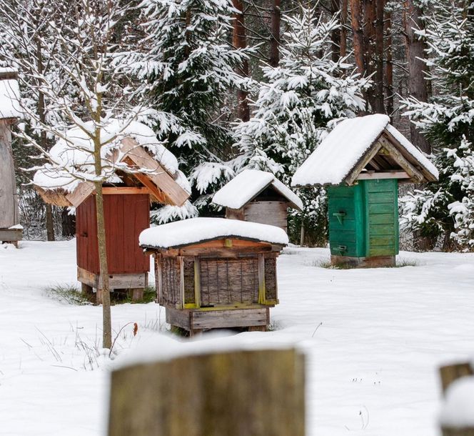 Muzeum Kultury Ludowej w Kolbuszowej - tu kręcono sceny do serialu "1670"