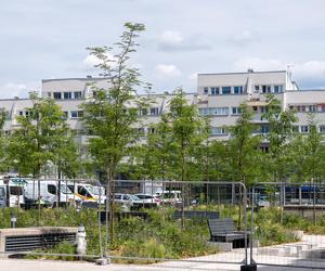 Tak wygląda plac Nowy Targ we Wrocławiu. Prace są już na ostatniej prostej