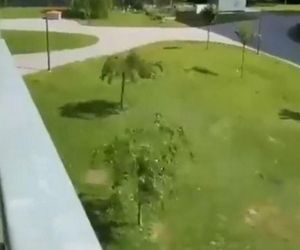 Strzelanina w szkole w Austrii. Przerażające nagrania