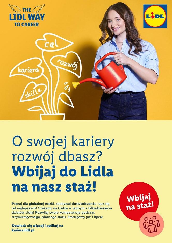 Staż w Lidlu