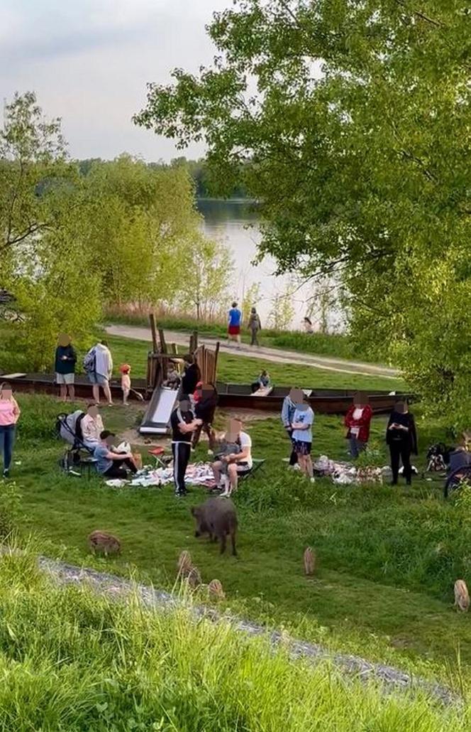 Zobaczcie tylko, co oni robią! Nagranie znad Wisły niesie się po sieci. Chwile grozy podczas rodzinnego pikniku