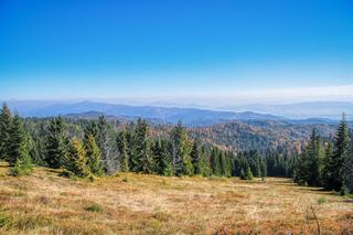 Liczne szlaki turystyczne i stoki narciarskie. Oto małopolskie pasmo górskie idealne na rodzinną wycieczkę 
