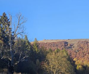 Bieszczady na jesień 