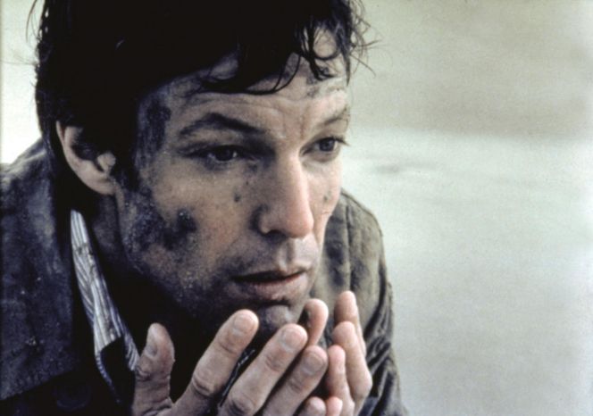 Richard Chamberlain 