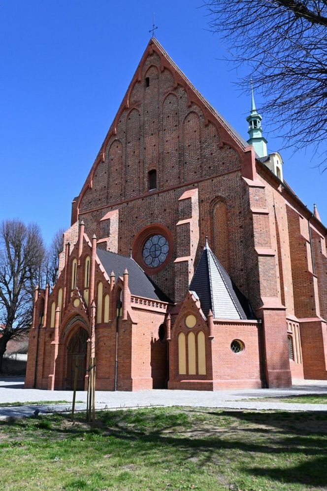 Polskie miasto zachwyciło zagraniczną turystkę. To perła Dolnego Śląska