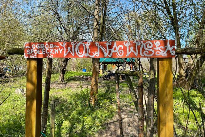 Ogród Społeczny Wolna Wisła w Toruniu prosi o wsparcie