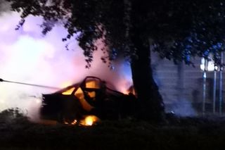 Potworny wypadek w Płocku. Wypadli z drogi, uderzyli w drzewo. Dwoje ludzi spłonęło w samochodzie	
