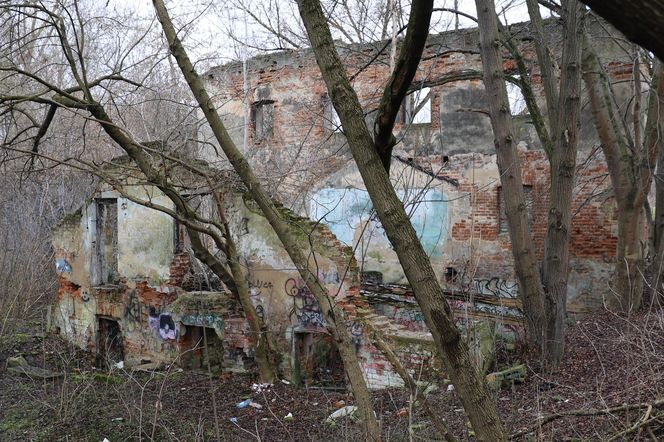 Spacer doliną Bystrzycy na lubelskim Wrotkowie