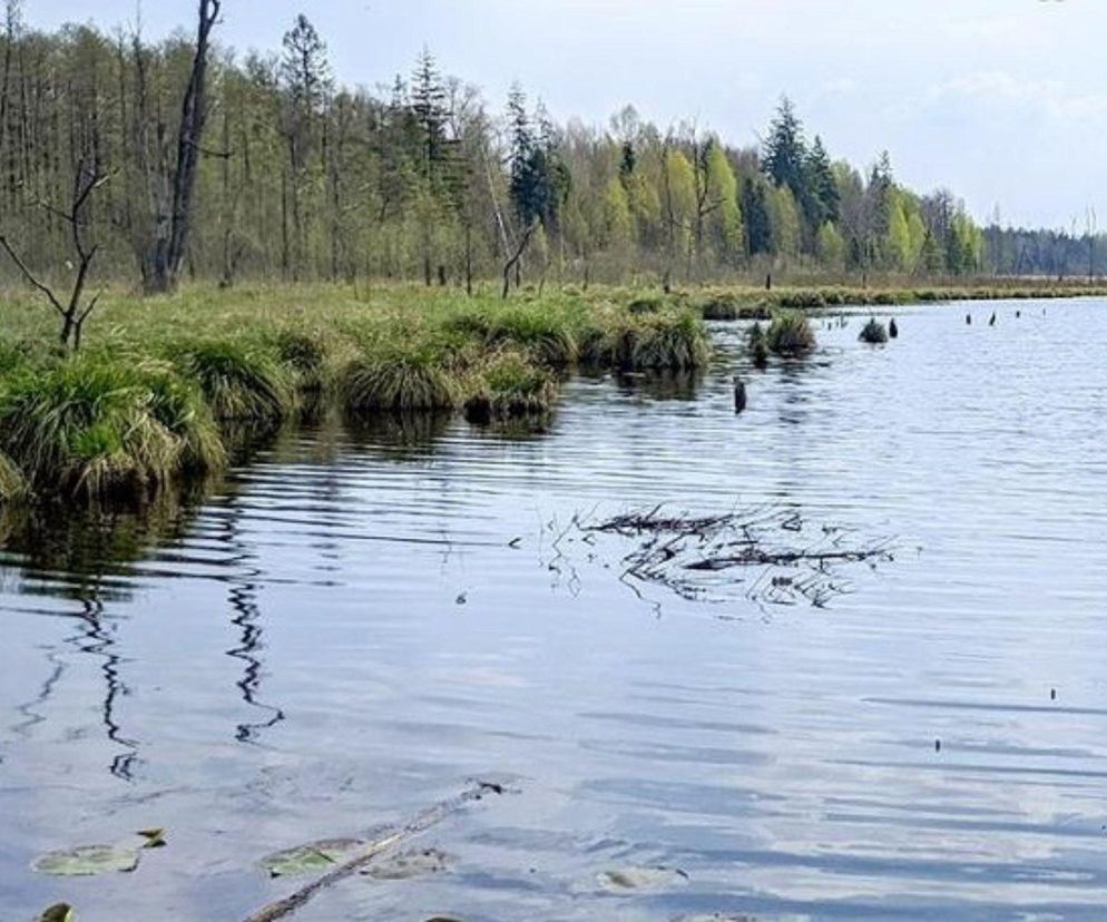 Na Warmii i Mazurach będzie dziewięć nowych rezerwatów przyrody. W tych miejscach je wyznaczono