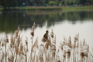 Zawody wędkarskie dla dzieci przyciągnęły w 2025 roku rekordową liczbę 148 uczestników