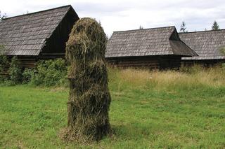 Ta małopolska wieś jest owiana wieloma legendami. Kiedyś była częścią Królestwa Węgier
