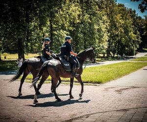 Policyjne wierzchowce od lat wspierają śląską policję