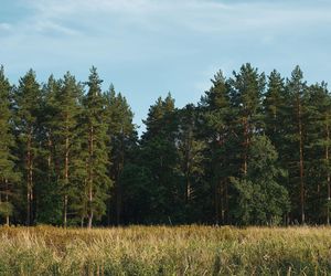 Nowy rezerwat przyrody na Podkarpaciu. Wiemy, gdzie powstanie