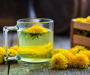 Mniszek lekarski to skarbnica zdrowia. Przepisy na potrawy i napoje z mniszka