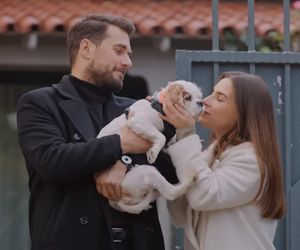 Miłość i nadzieja, odcinek 331. Sila, Kuzey