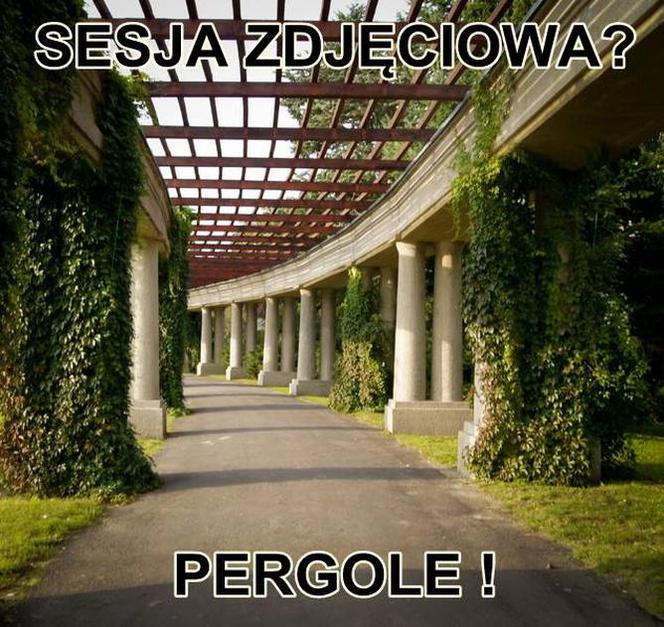 Typowy Wrocławianin