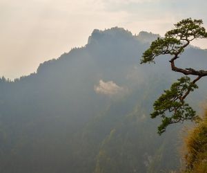 Szczawnica i Krościenko