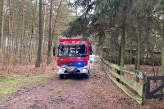 Tragedia w Jedzbarku. Mężczyzna wisiał na drzewie w uprzęży alpinistycznej