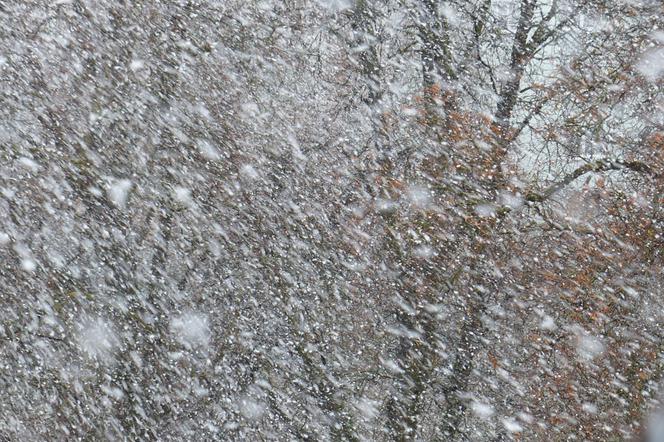 Dzisiaj na Pomorzu mogą wystąpić zamiecie śnieżne