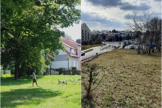 Jak powinien wyglądać „Gaj nad skarpą” i „Skwer Marzeń w Lublinie”? Mieszkańcy zadecydują