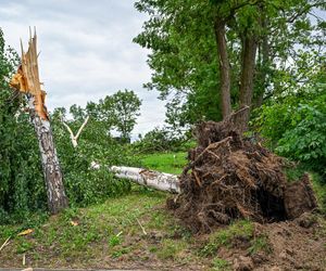 Niż genueński Gabriel nad Polską. Ostrzeżenia przed potężnymi ulewami