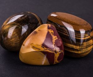 Tygrysie oko dla biznesmenów i alergików