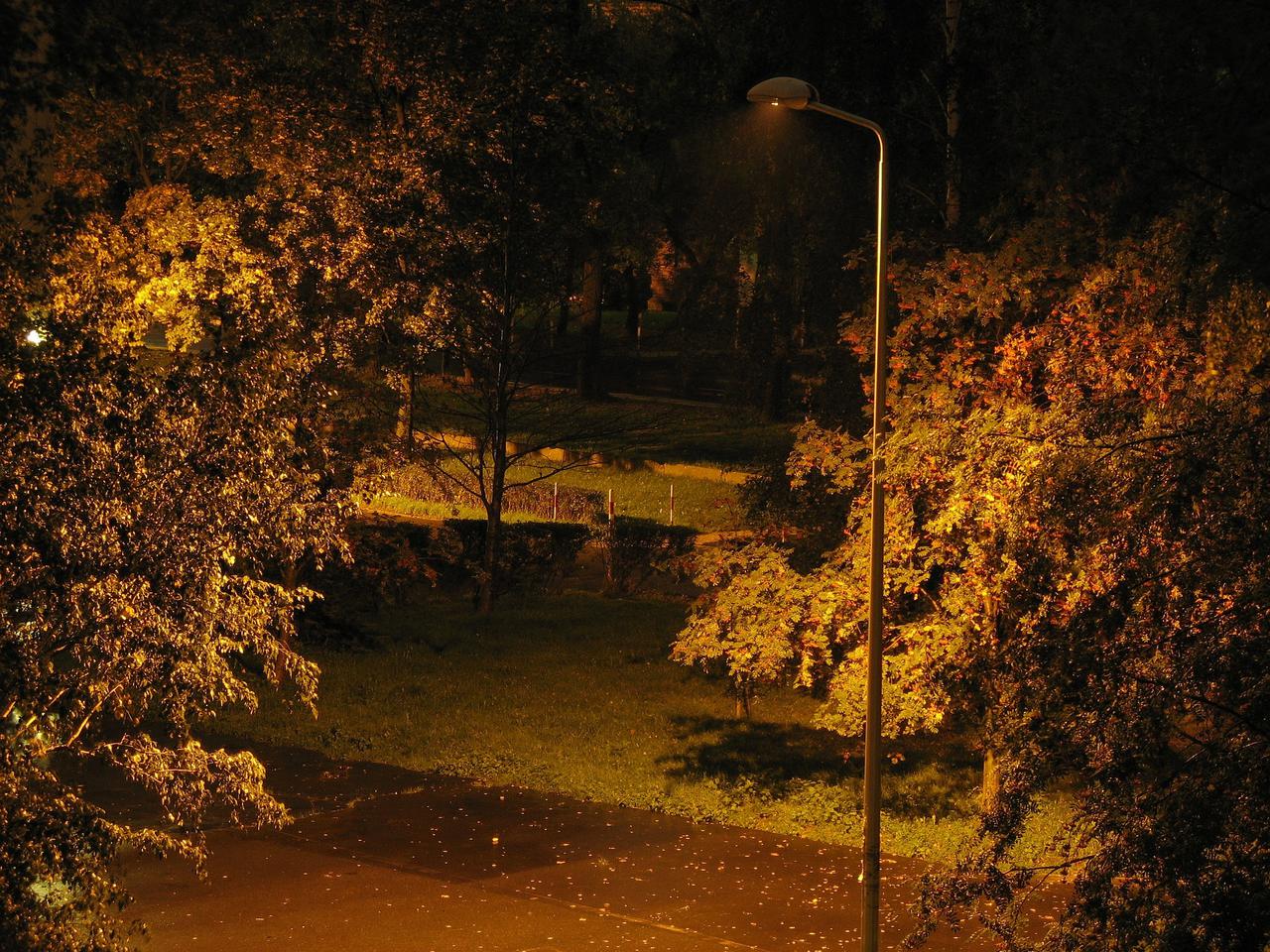 Ciechanów. Zagadkowa śmierć 36-letniego Michała! Jego ciało leżało na podwórku