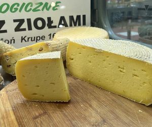 V edycja Święta Lubelskiego Serowarstwa i Mleczarstwa