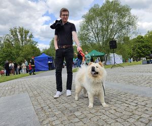 Festiwal Przyjaciół Zwierząt w Olsztynie. Park Centralny opanowały radosne pieski