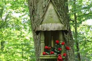 Góra Chełmowa w gminie Nowa Słupia