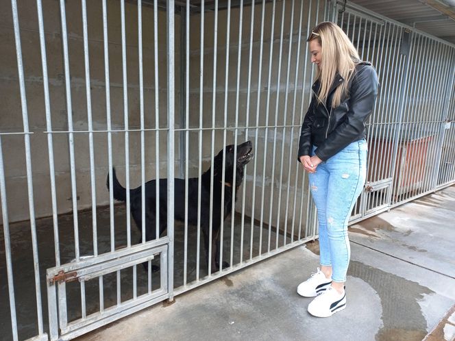 „Wszystkie psiaki nasze są” w schronisku w Henrykowie koło Leszna