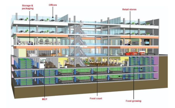Ilustracyjny widok adaptacji nieużywanego domu towarowego, gdzie uprawa żywności staje się motorem rewitalizacji