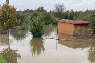 Krosno Odrzańskie. Miasto przygotowuje się na falę kulminacyjną