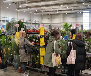 Największy targ roślin doniczkowych ponownie w Lublinie