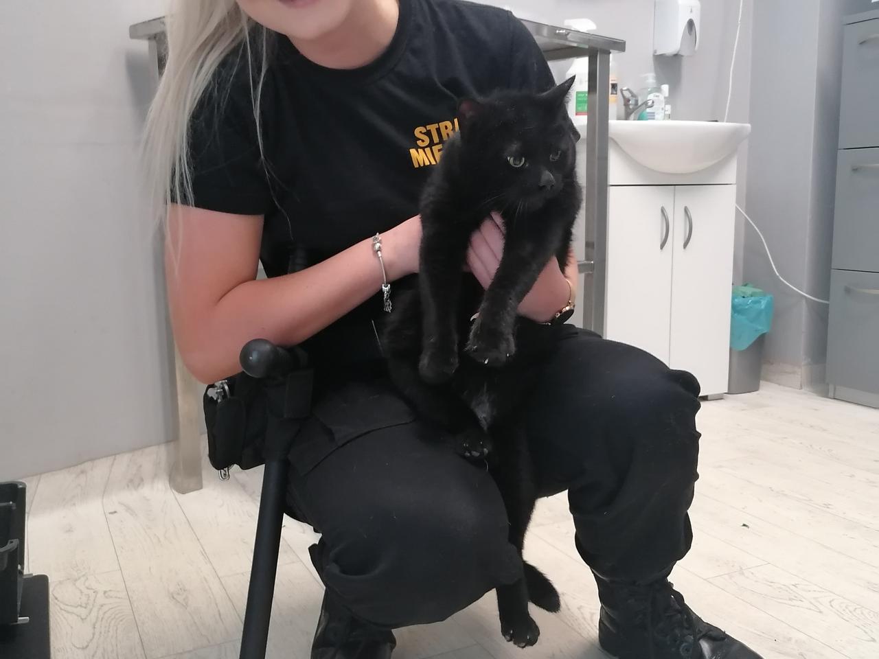 Elbląscy strażnicy pomogli elblążance, a właściwie jej pupilowi