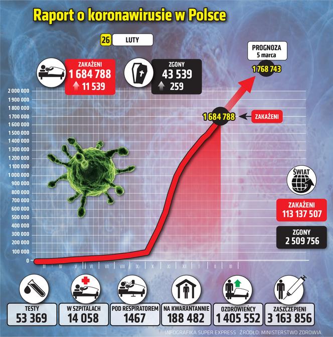 koronawirus w polsce wykresy wirus polska 1 26.02.2021