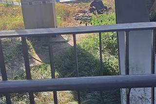 Zmasakrował starszego mężczyznę na kładce! Koszmar w Bydgoszczy [ZDJĘCIA]