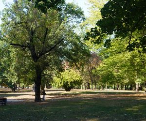 Park Konstytucji 3 Maja