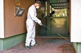 Robale atakują Lublin